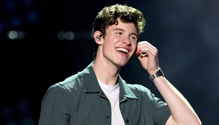 Shawn Mendes rings 27th birthday in style amid collaborator dating rumors