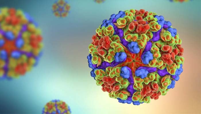 Chikungunya virus outbreak: CDC warns travellers after 8,000+ cases in China