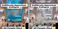 کیلیفورنیا ایکویریم حادثہ، 50 افراد کی ہلاکت کی حقیقت کیا؟