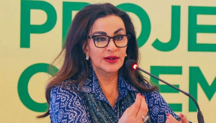 ---فائل فوٹو