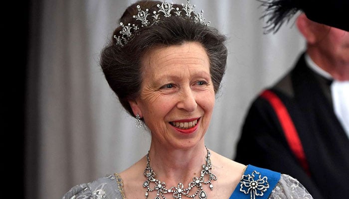 Princess Anne looks magnificent in new 75th birthday portrait with Sir Tim