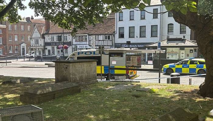 Reading stabbing incident leaves three injured, suspect in custody