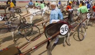 جشن آزادی پر گدھا ریس، ندیم کالا نے جیت لی