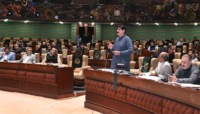 ڈمپر کی ٹکر سے بھائی، بہن جاں بحق، معاوضے کا اعلان نہ کرنے پر سندھ اسمبلی میں گرما گرمی
