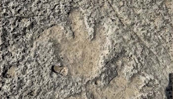 Texas floods reveal over 100 million years old dinosaur tracks
