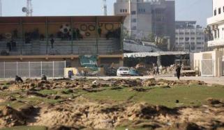 غزہ، 22 ماہ میں 662 فلسطینی کھلاڑی اور اسپورٹس عہدیداران شہید