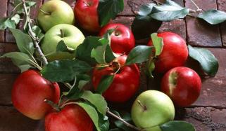 سرخ اور سبز سیب میں سے کونسا زیادہ فائدہ مند ہے؟