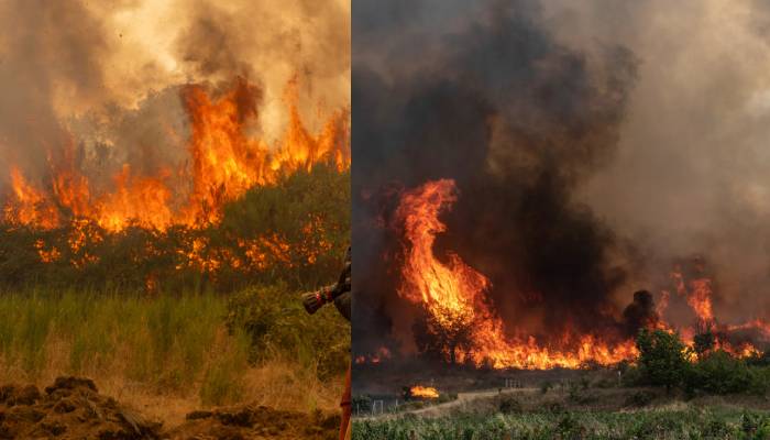 Spain’s wildfires spread rapidly amid record heatwave, leaving thousands displaced
