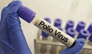 ملک کے 42 ماحولیاتی نمونوں میں پولیو وائرس کی تصدیق
