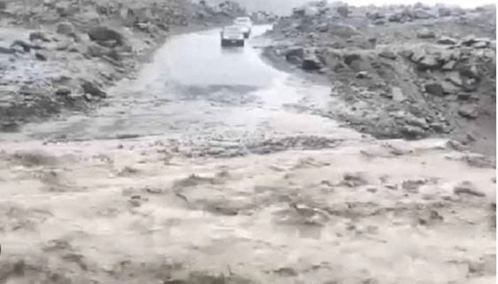 تصویر سوشل میڈیا۔