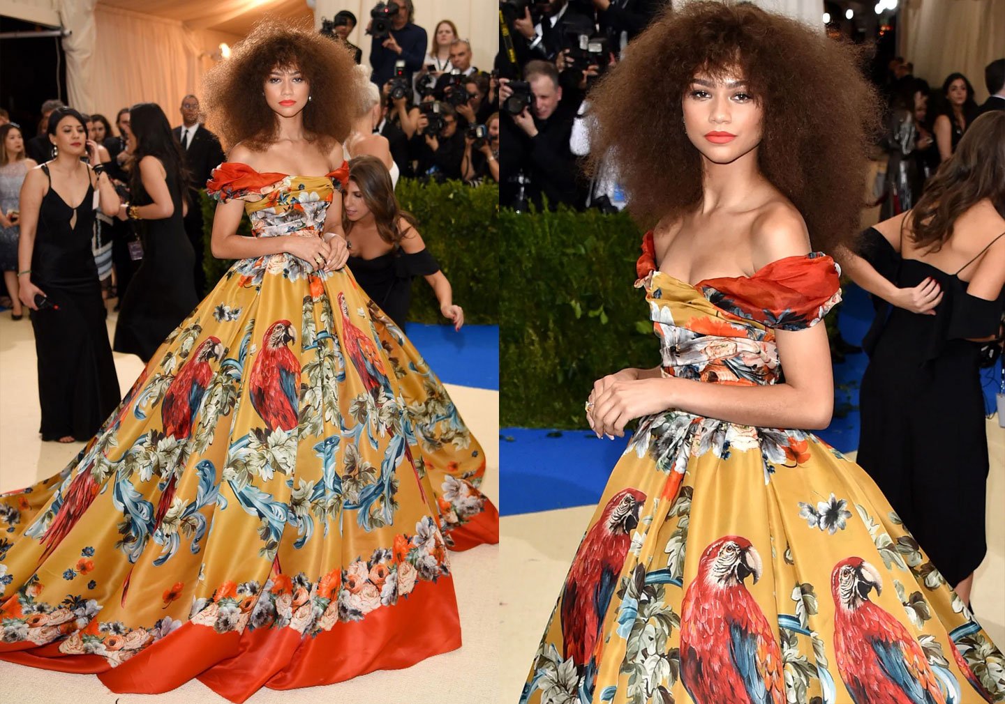 MET Gala red carpet (2017)