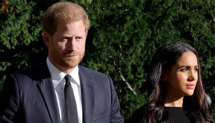 Meghan Markle shows ‘no signs of support’ amid Prince Harry new charity buzz