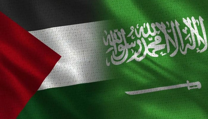 فلسطین کے قیام میں رکاوٹ ڈالنا عالمی قوانین کی خلاف ورزی ہے: سعودی عرب