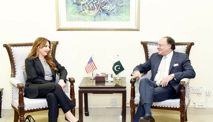وزیر خزانہ محمد اورنگزیب امریکی ناظم الامور نیٹلی بیکر سے ملاقات کر رہے ہیں(تصویر سوشل میڈیا)۔