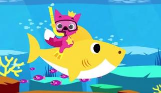 بےبی شارک کس کی ملکیت؟ جنوبی کورین عدالت کا فیصلہ آگیا