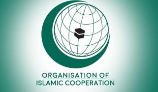 ’مغربی کنارے پر اسرائیلی قبضہ قابل مذمت ہے‘