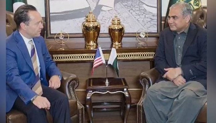 وزیرداخلہ محسن نقوی سے امریکی رابطہ کار لوگروف کی ملاقات
