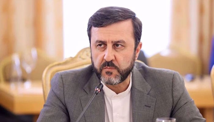 ایرانی نائب وزیر خارجہ کاظم غریب آبادی—تصویر بشکریہ غیر ملکی میڈیا