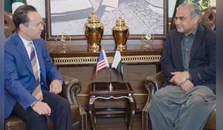 وزیرداخلہ محسن نقوی سے امریکی رابطہ کار لوگروف کی ملاقات