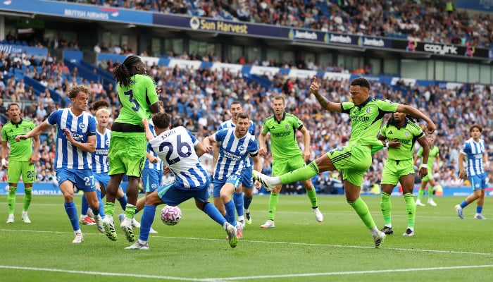 Brighton vs Fulham Premier League clash hit with tragedy after fan dies in stands