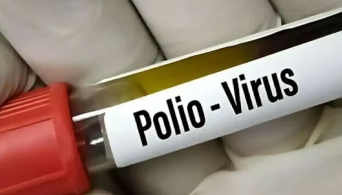 کے پی اور سندھ میں پولیو کے 2 نئے کیسز کی تصدیق، اب تک کُل 21 کیسز رپورٹ