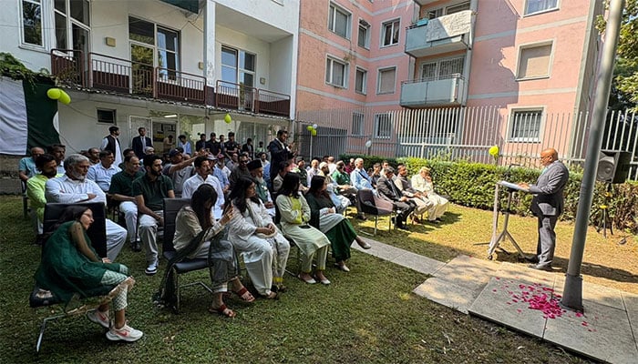 ویانا اور دی ہیگ میں پاکستان کے یوم آزادی اور معرکہ حق کی کامیابی کا جشن