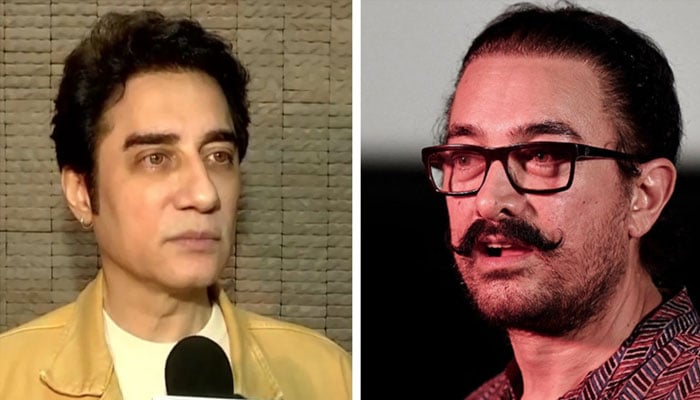 رینا دتہ سے شادی کے دوران عامر کا خاتون کیساتھ افیئر تھا، بچہ بھی ہے، فیصل خان کا سنگین الزام