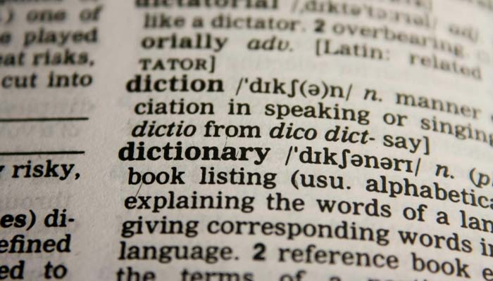 Gen Z, Gen Alpha slang skibidi, delulu added to Cambridge Dictionary