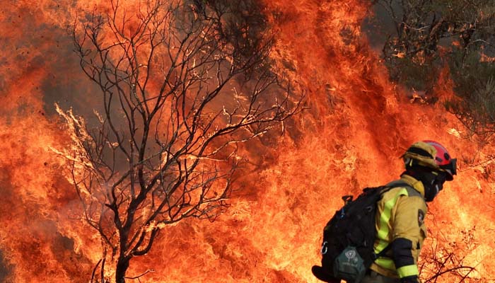 Spain, Portugal wildfire claim lives of two firefighters amid heatwave