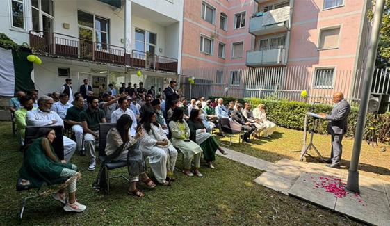 ویانا اور دی ہیگ میں پاکستان کے یوم آزادی اور معرکہ حق کی کامیابی کا جشن