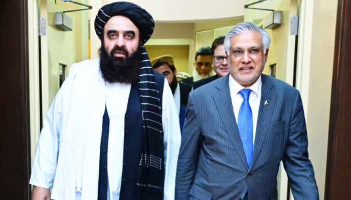 فوٹو سوشل میڈیا ۔ دفترخارجہ پاکستان