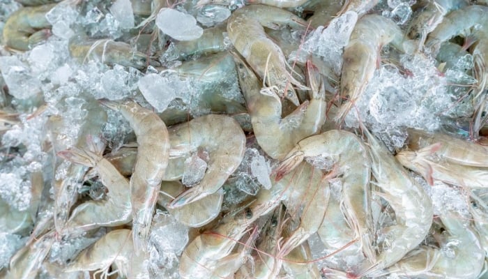 Walmart issues stern warning over radioactive shrimp