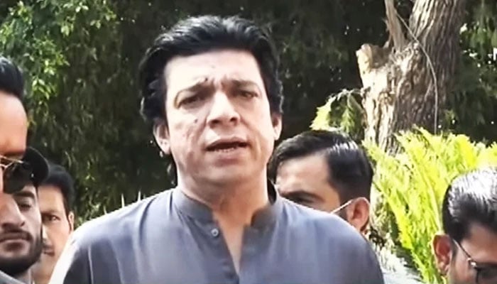 سینیٹر فیصل وائوڈا(فائل فوٹو)۔