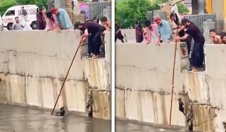 کراچی میں شہریوں نے نالے میں ڈوبتی بلی کو بچا لیا