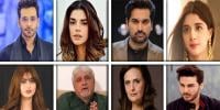 کراچی تا کشمیر بارشوں اور سیلاب سے تباہی، فنکار برادری عوامی کرب کی آواز بن گئی