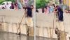 کراچی میں شہریوں نے نالے میں ڈوبتی بلی کو بچا لیا