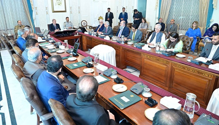 وفاقی کابینہ میں یوٹیلٹی اسٹورز کارپوریشن کی تحلیل کی سمری متفقہ طور پر منظور