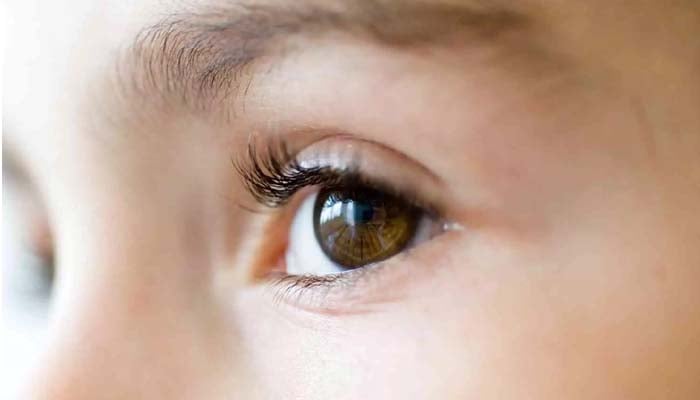Diet-rich in Omega-3s may protect against myopia, study