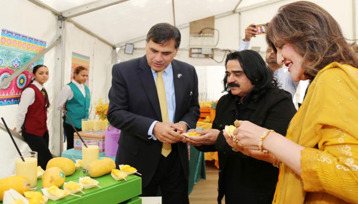 پاکستانی آم پہچان، دنیا بھر میں پسند کیے جاتے ہیں، ڈاکٹر محمد فیصل