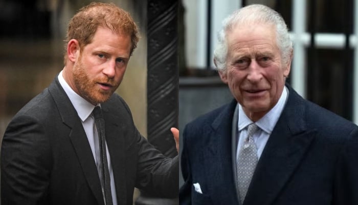Prince Harry under fire for exploiting King Charles overseas trips