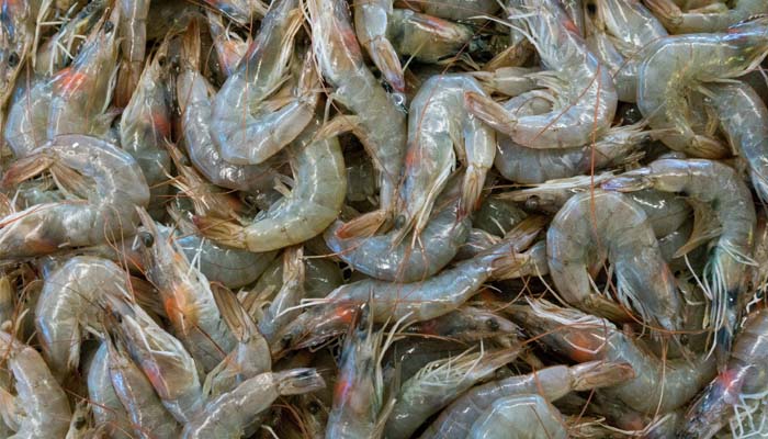 FDA recalls more frozen shrimp amid contamination concerns