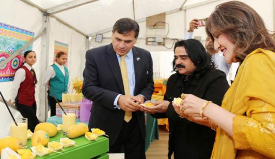 پاکستانی آم پہچان، دنیا بھر میں پسند کیے جاتے ہیں، ڈاکٹر محمد فیصل