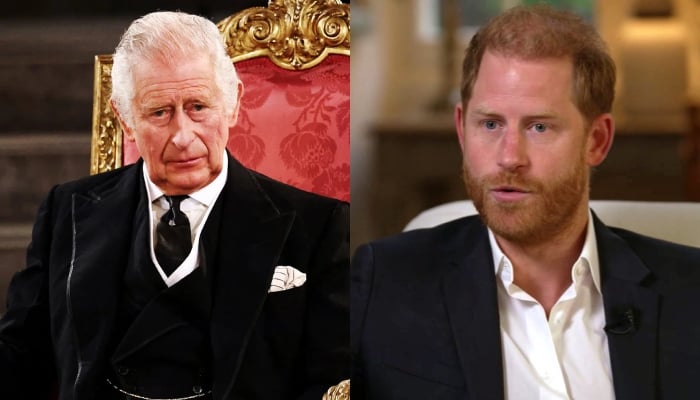 King Charles ex-staffer reveals Prince Harry’s tough side amid peace talks