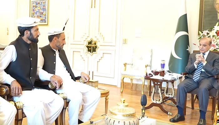 وزیراعظم سے گلگت بلتستان میں انسانی جانیں بچانے والے قومی ہیروز کی ملاقات