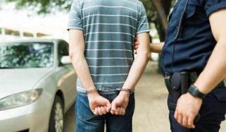 نیو جرسی، پاک ڈے پریڈ میں نعرے بازی پر ایک شخص زیر حراست، رہائی