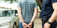 نیو جرسی، پاک ڈے پریڈ میں نعرے بازی پر ایک شخص زیر حراست، رہائی