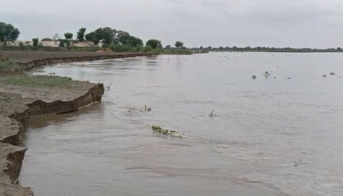 پنجاب کے متعدد علاقوں میں سیلابی صورتحال: لاہور، قصور، سیالکوٹ میں فوج طلب