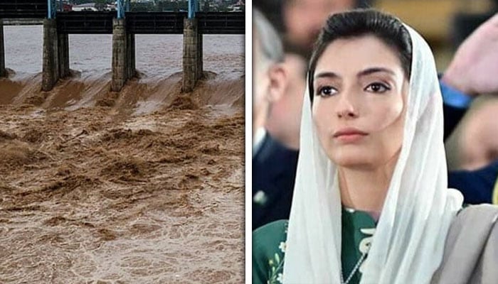 ہر پاکستانی کو اکٹھا ہونا ہوگا تاکہ زیادہ زندگیاں بچائی جاسکیں: آصفہ بھٹو زرداری