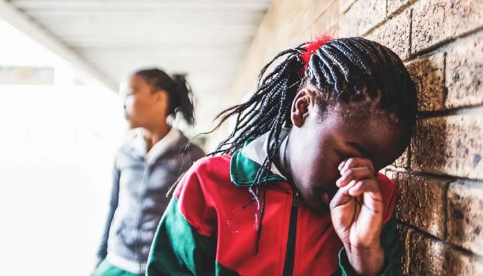 School connections may minimise depression risk in bullied teens, study