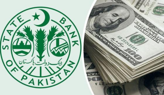 ملکی زرِ مبادلہ ذخائر 19 ارب 61 کروڑ ڈالر ہو گئے